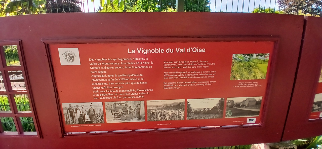 VELOCYCLO2905202520250529 093124